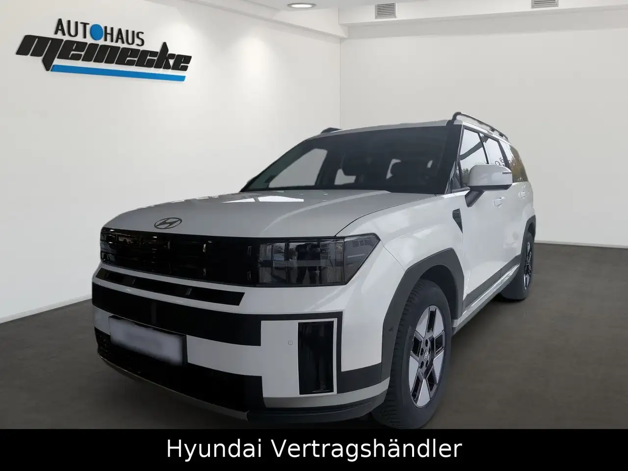 Hyundai SANTA FE 1.6 T-GDI Hybrid INTRO 4WD — Dessau