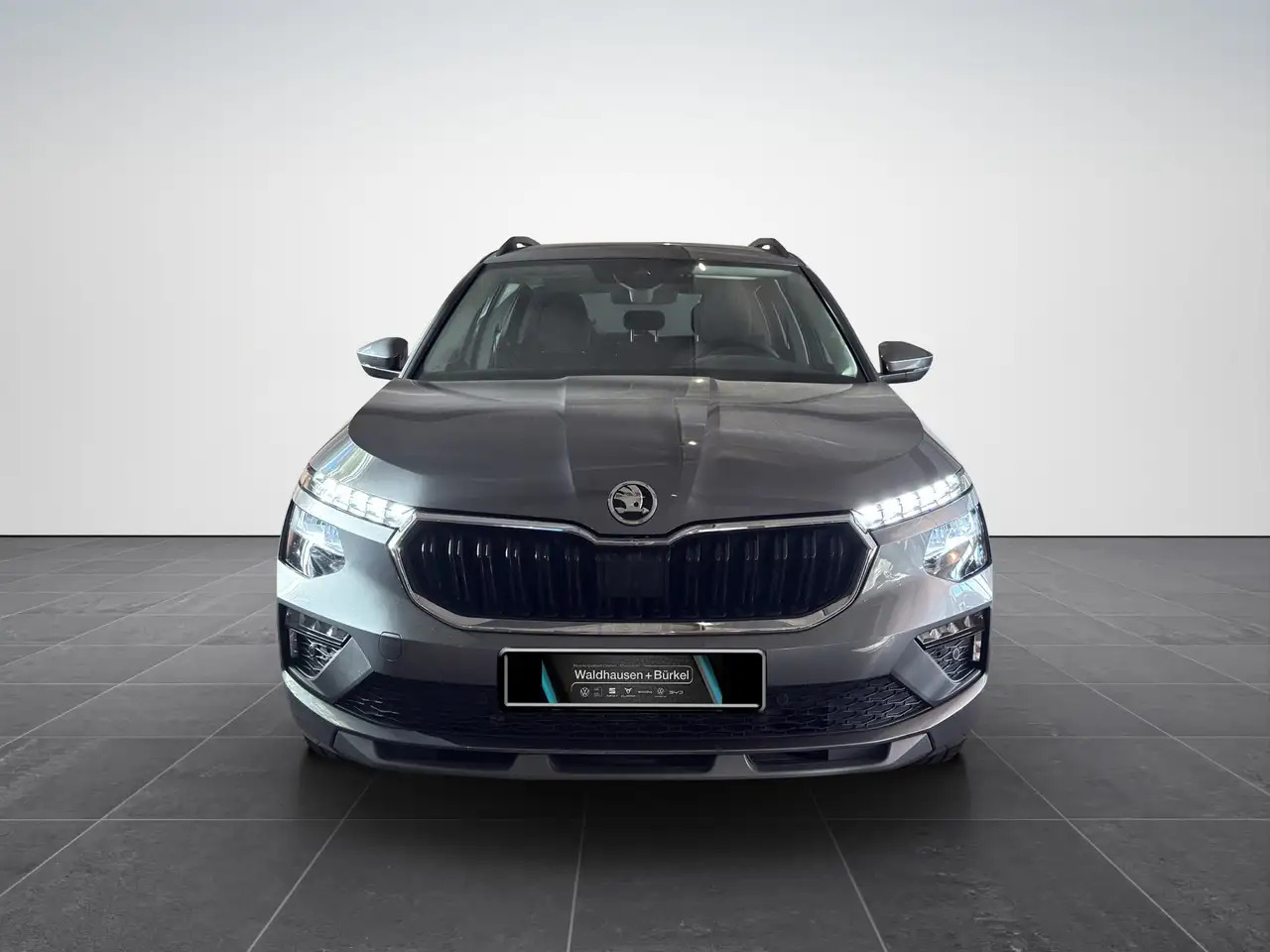 Skoda Kamiq TSI Selection LED|R-Kam.|SHZ|Virtual|Navi — Galerie du véhicule 5
