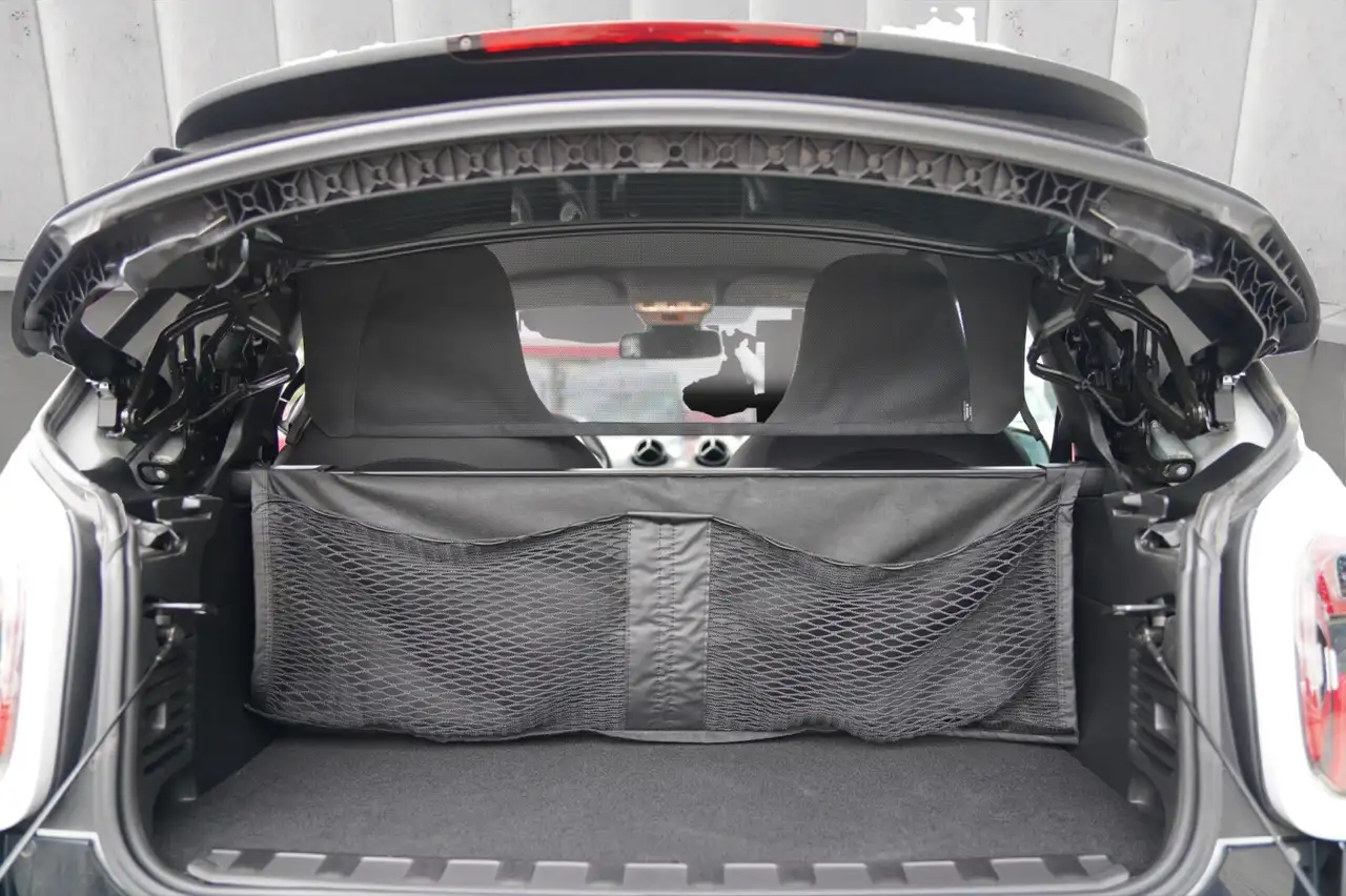 smart forTwo EQ fortwo cabrio Tempo Winter Kamera Ambiente Klima — معرض صور السيارة 11
