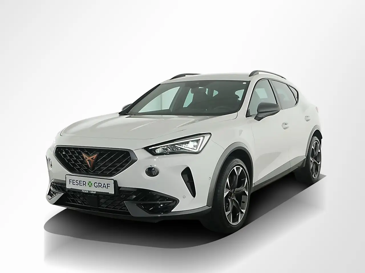 CUPRA Formentor VZ 2.0TSI 4x4 DSG Rückfahrkamera Navi — Galerie du véhicule 17