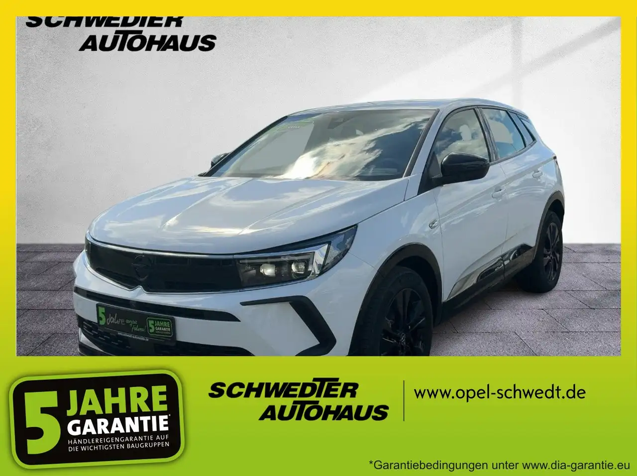 Opel Grandland 1.2 GS Line Alcantara+LED+Navi+SHZ+LM — Schwedt/Oder