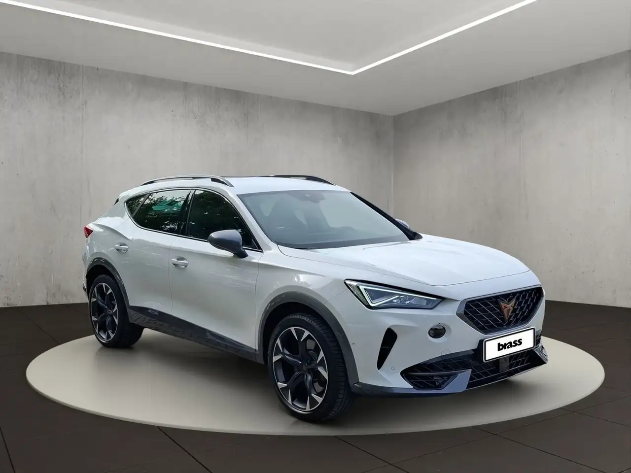 CUPRA Formentor VZ 2.0 TSI Navi, Totwinkel, Kamera — Vehicle gallery 7