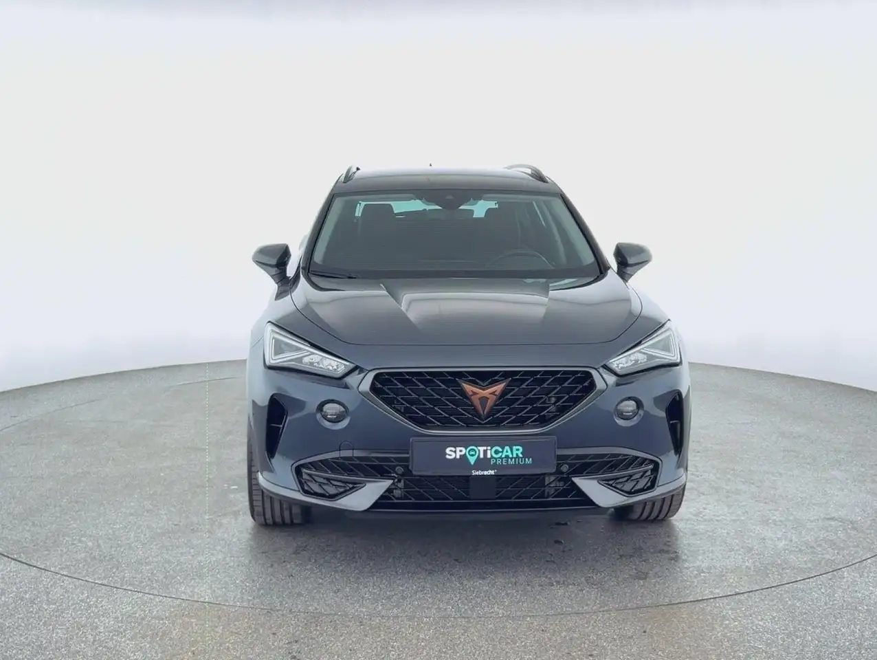 CUPRA Formentor Basis 1.5 TSI*PDC*ACC*SHZ*uvm — Vehicle gallery 2