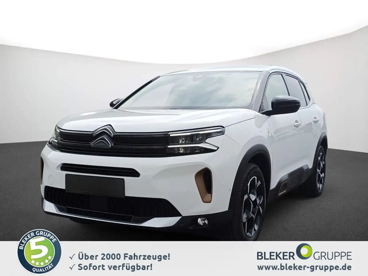 Citroen C5 Aircross Hybrid 1 — Borken