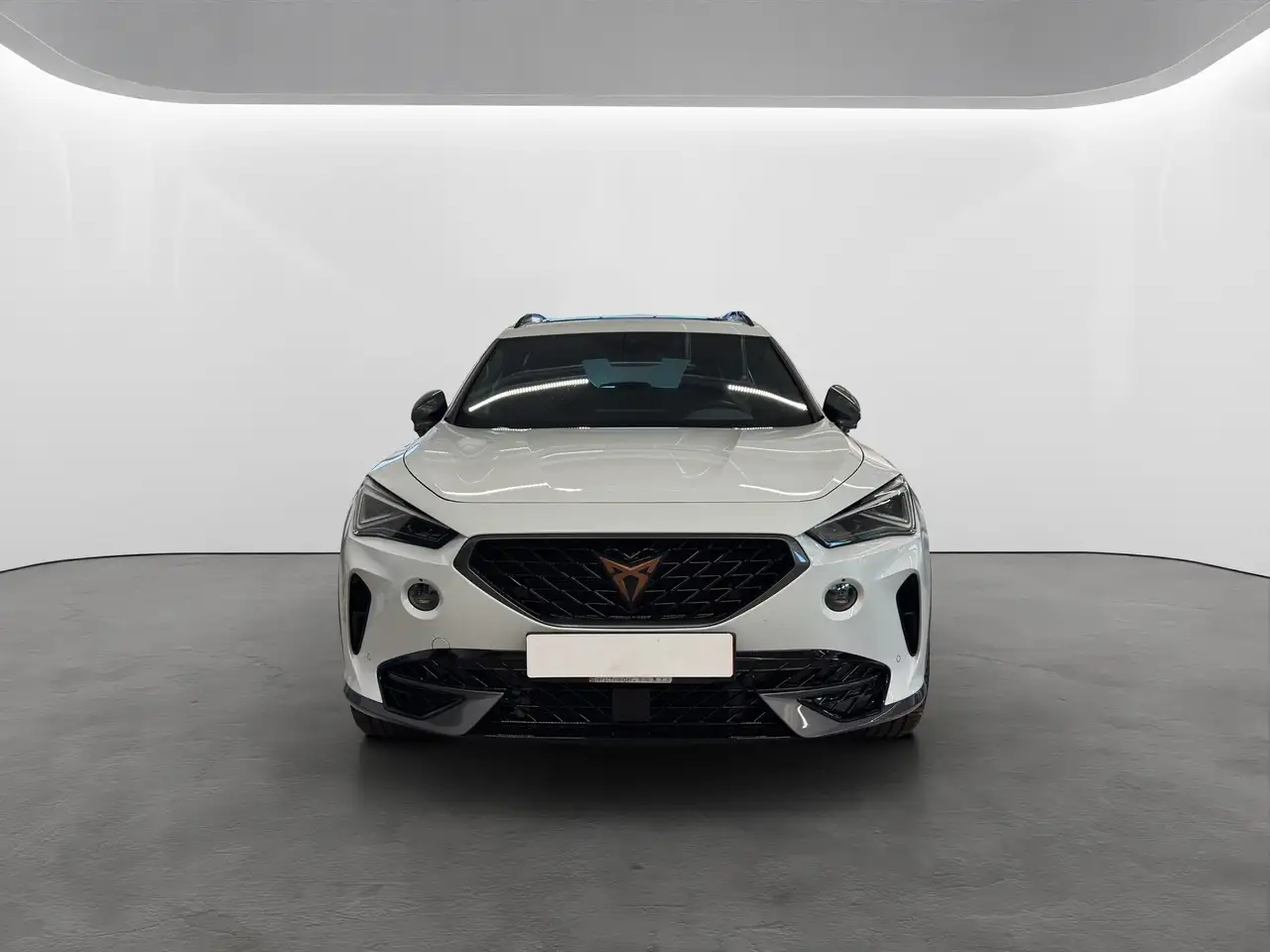 CUPRA Formentor 2.0 TSI DSG 4Drive VZ MATRIX-LED+LEDER+Pano+AHK+19 — Galerie du véhicule 3