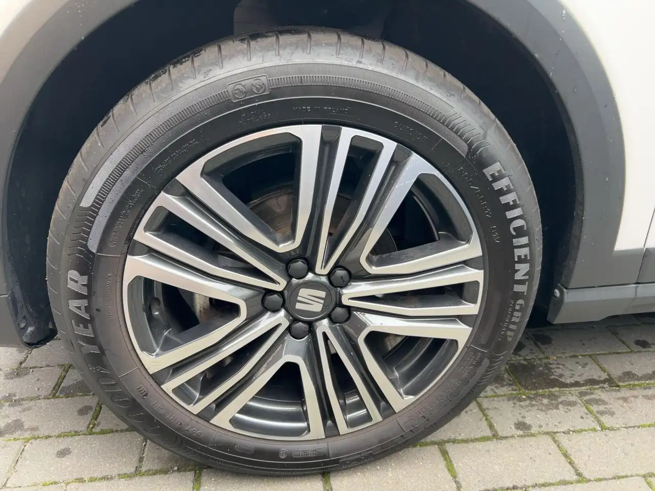 SEAT Arona 1.0 TSI Style Edition Climatronic APP SHZ — Vehicle gallery 12
