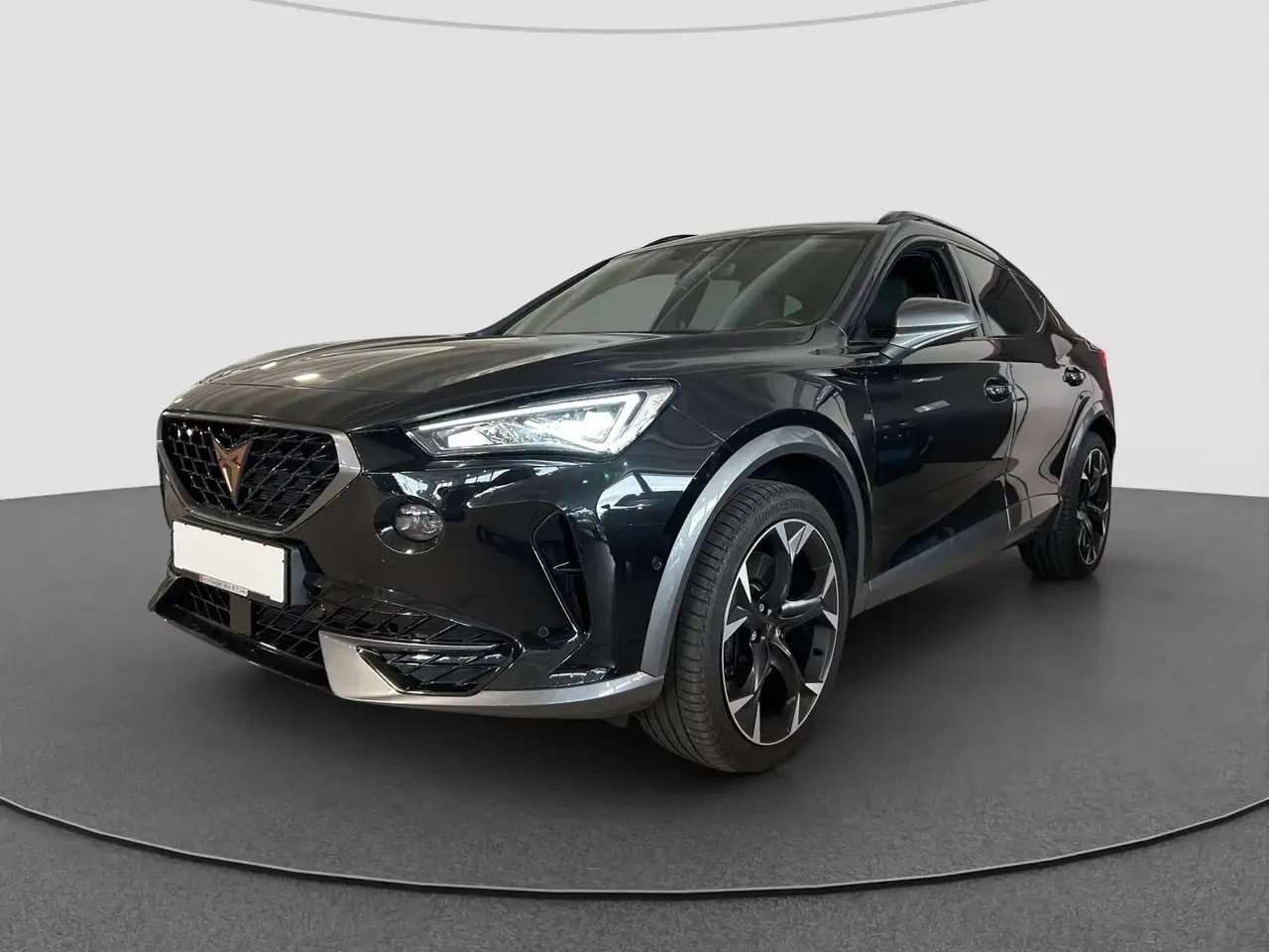 CUPRA Formentor 2.0 TSI DSG VZ 19 KAMERA ACC DCC — معرض صور السيارة 2