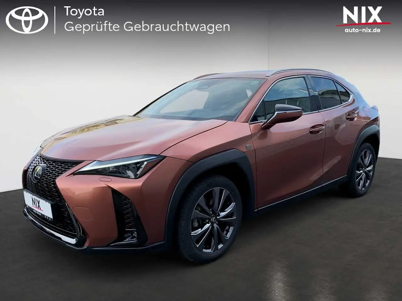 Lexus UX 300h F Sport Design WKR ORIGINAL LEXUS — Offenbach