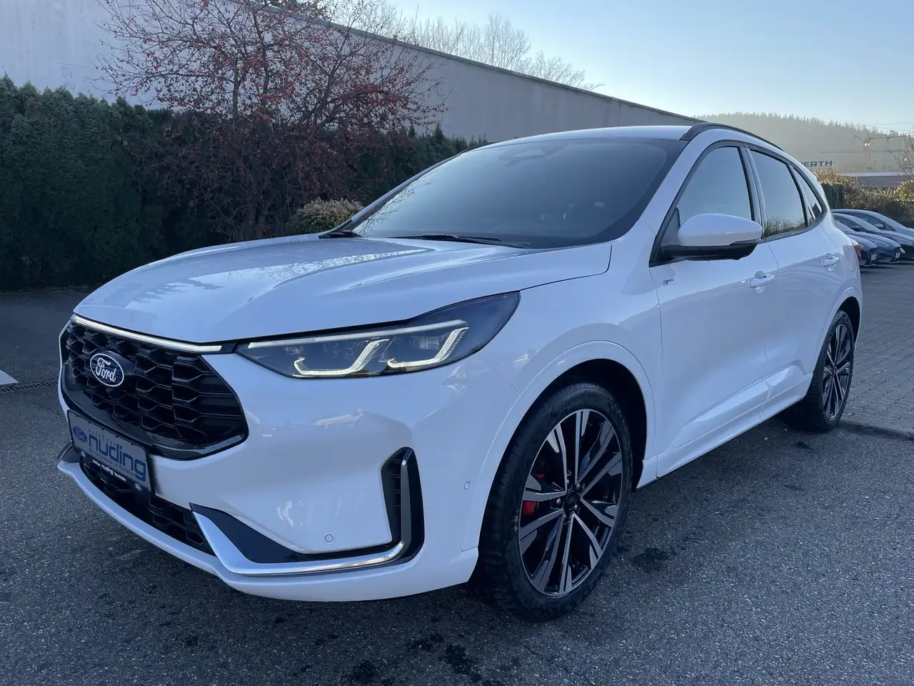 Ford Kuga 2.5 Duratec FHEV CVT ST-Line X 360°/BLIS/LED — Galería del vehículo 2