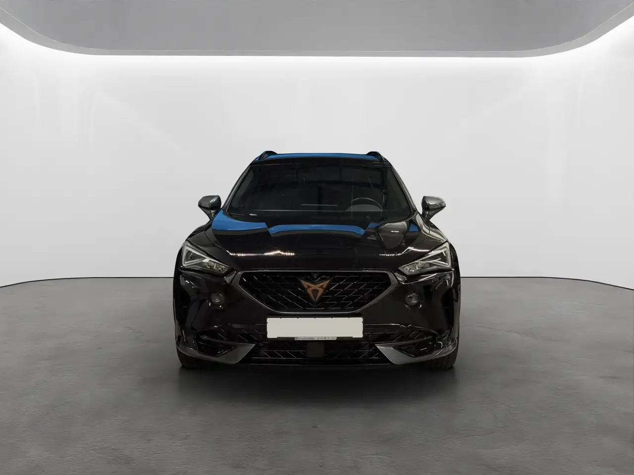 CUPRA Formentor 2.0 TSI DSG 4Drive VZ LED+NAVI+TOPVIEW+19 — Vehicle gallery 3