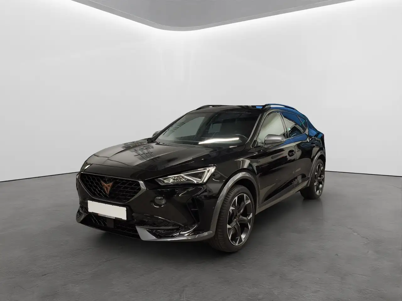 CUPRA Formentor 2.0 TSI DSG 4Drive VZ LED+NAVI+TOPVIEW+19 — Vehicle gallery 2