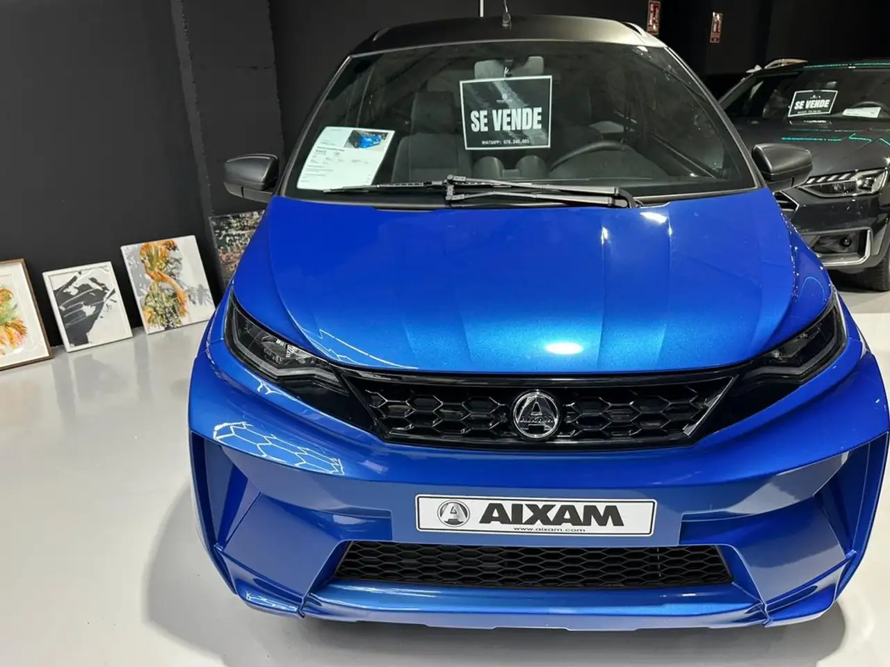 Aixam Crossline — Vehicle gallery 4