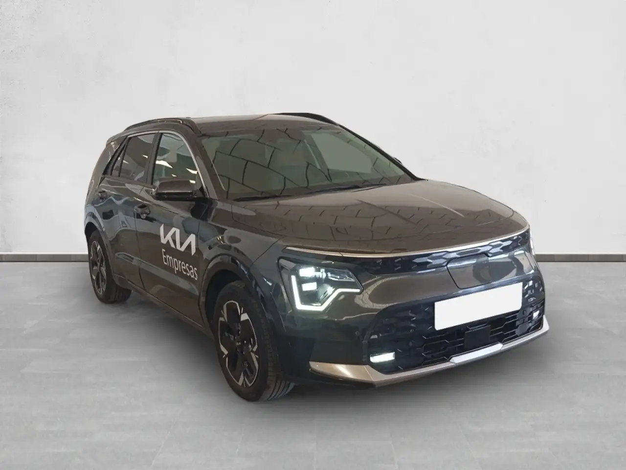 Kia Niro E-Niro Winter Edition — Galería del vehículo 2