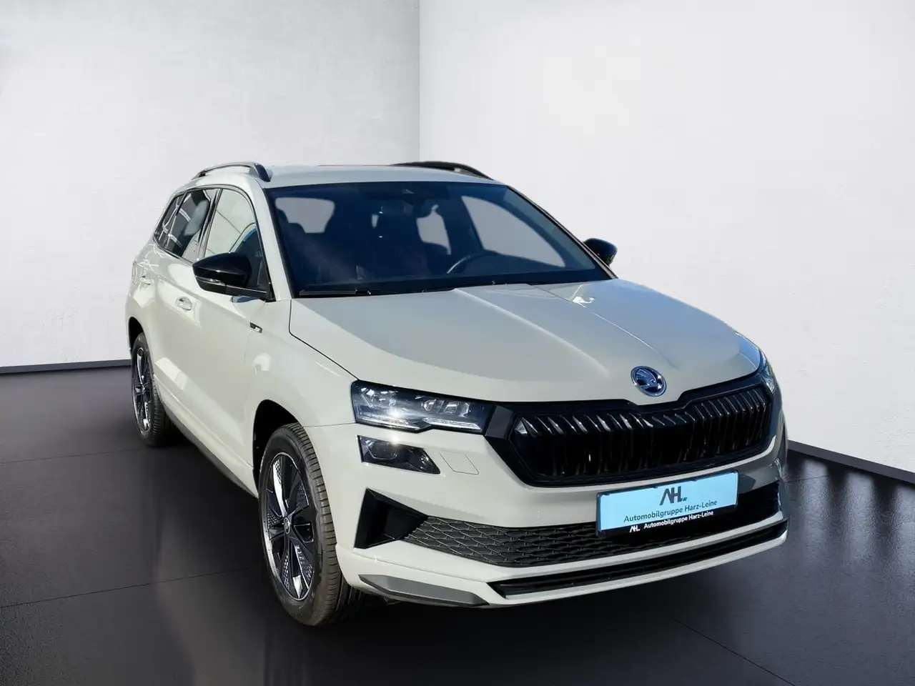 Skoda Karoq 2.0 TSI Sportline 4x4 DSG Sport-Paket Matrix — معرض صور السيارة 8