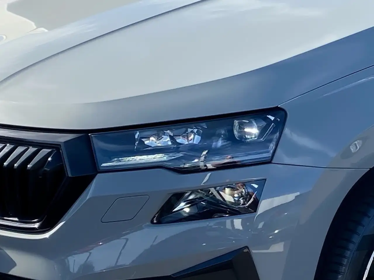Skoda Karoq 2.0 TSI Sportline 4x4 DSG Sport-Paket Matrix — معرض صور السيارة 13