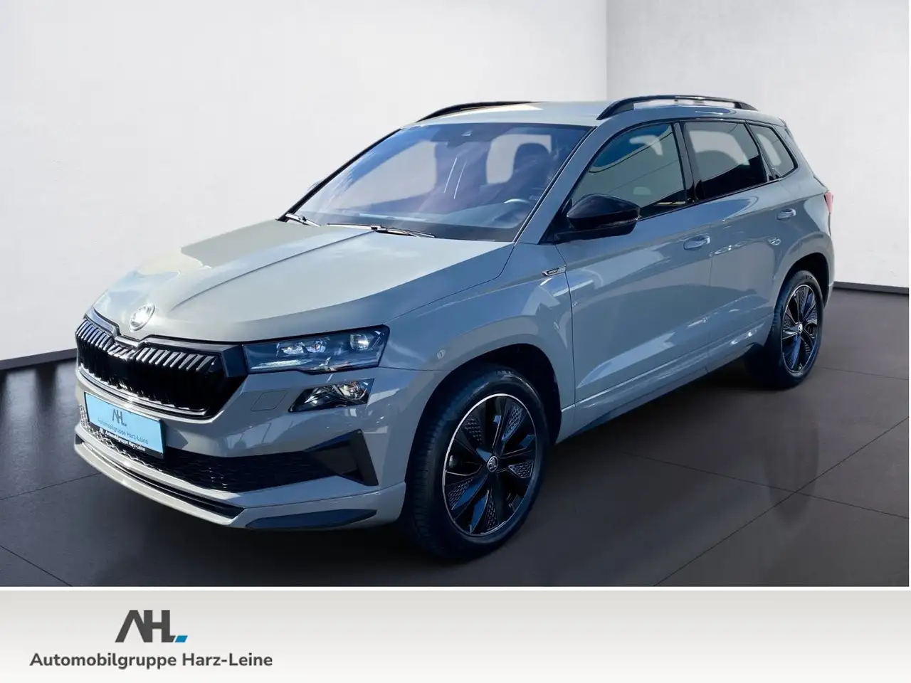 Skoda Karoq 2.0 TSI Sportline 4x4 DSG Sport-Paket Matrix — Goslar