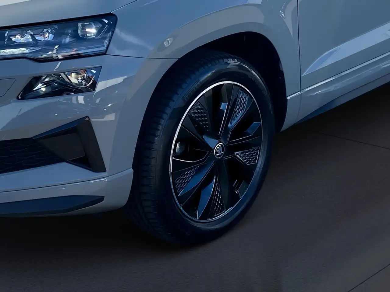 Skoda Karoq 2.0 TSI Sportline 4x4 DSG Sport-Paket Matrix — معرض صور السيارة 14