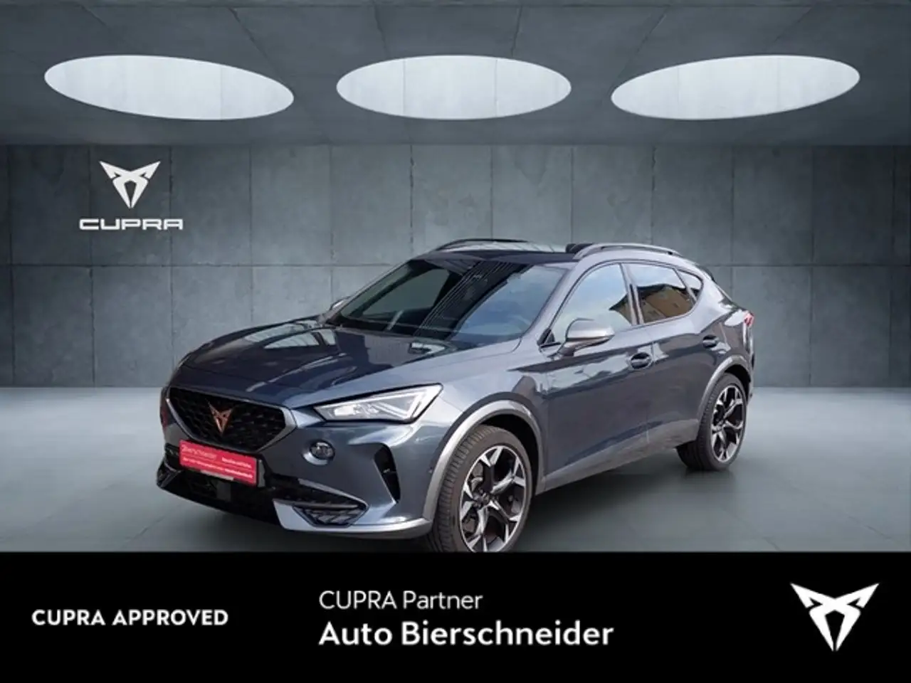 CUPRA Formentor VZ 4Drive DSG LED Navi FaPa XL Kamera WP — Weissenburg