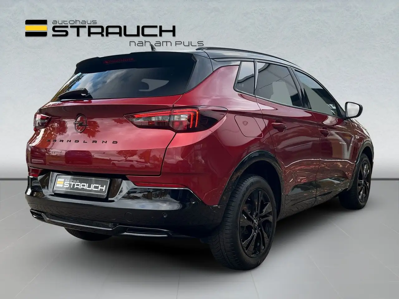 Opel Grandland X Grandland GS AT Navi/DAB/130°RFK/LHz/bhWSS — معرض صور السيارة 8
