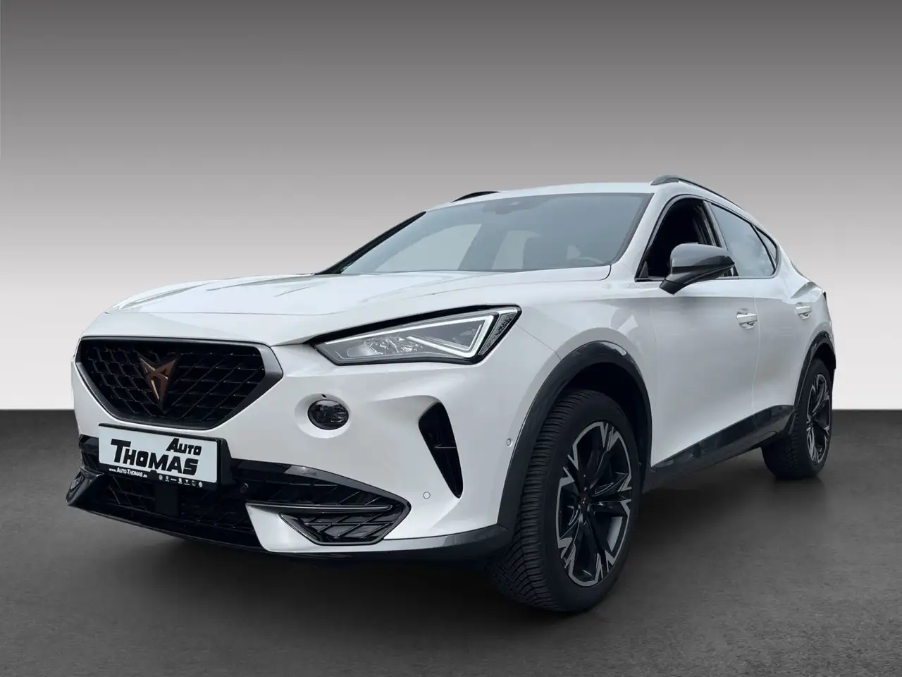 CUPRA Formentor 1.5 TSI DSG — معرض صور السيارة 3