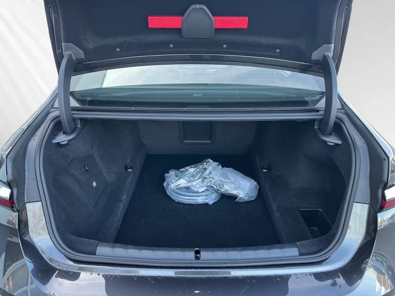 BMW 750 e xDrive TV-Fond-Entertainment|SkyLounge — Vehicle gallery 16
