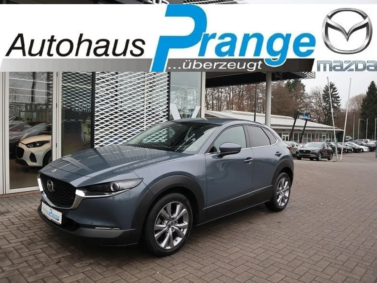 Mazda CX-30 G-140 Exclusive-Line *Aktion* Allwetter 360° MATRI — Hilter-Hankenberge