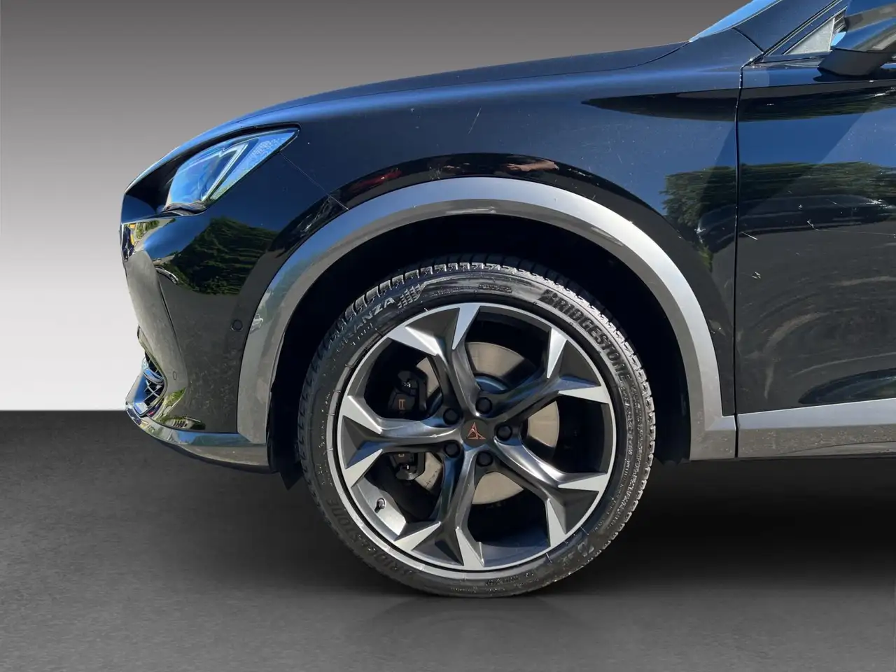 CUPRA Formentor 2.0 TSI DSG VZ AHK Pano — Vehicle gallery 7