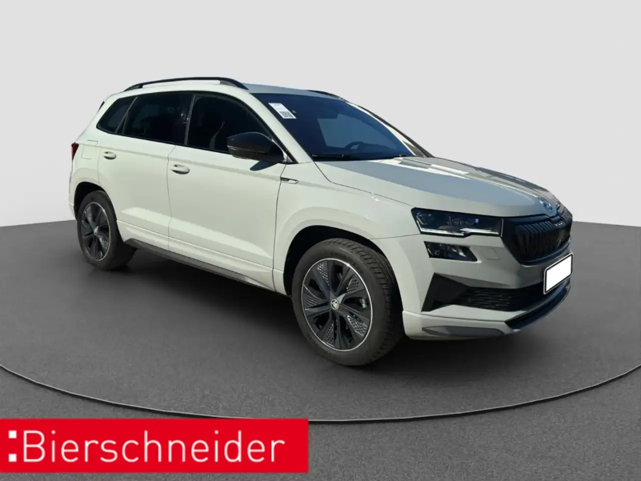 Skoda Karoq 2.0 TSI DSG 4x4 Sportline AHK KAMERA LED SHZ — Galería del vehículo 10
