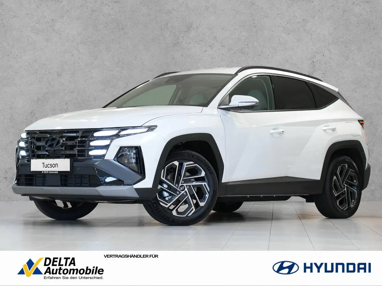 Hyundai TUCSON Plug-In-Hybrid 4WD Prime Assistenzpak ECS — Mainz-Kastel