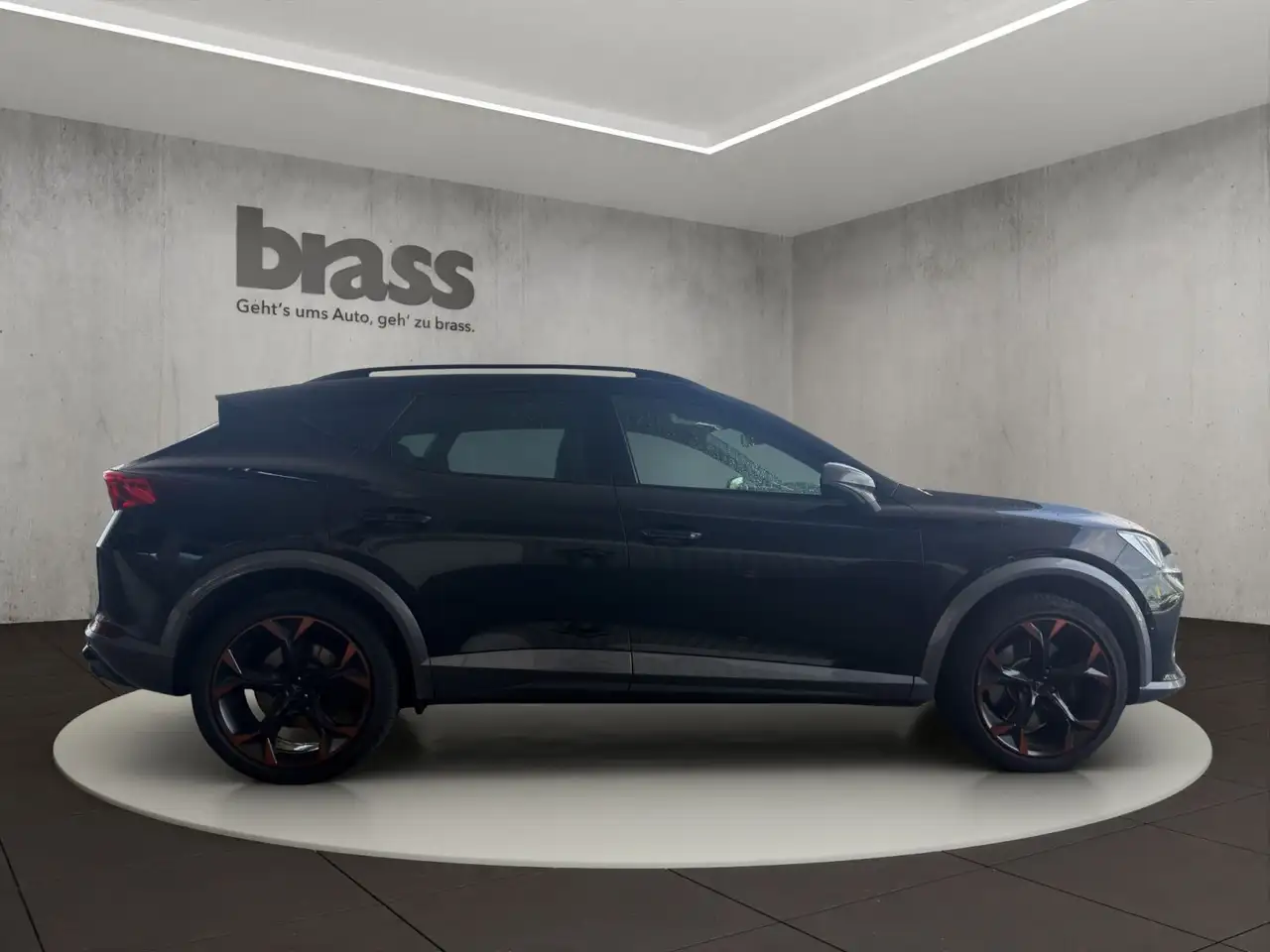 CUPRA Formentor VZ 2.0 TSI 4Drive Automatik, AHK, LM-F — Galerie du véhicule 6