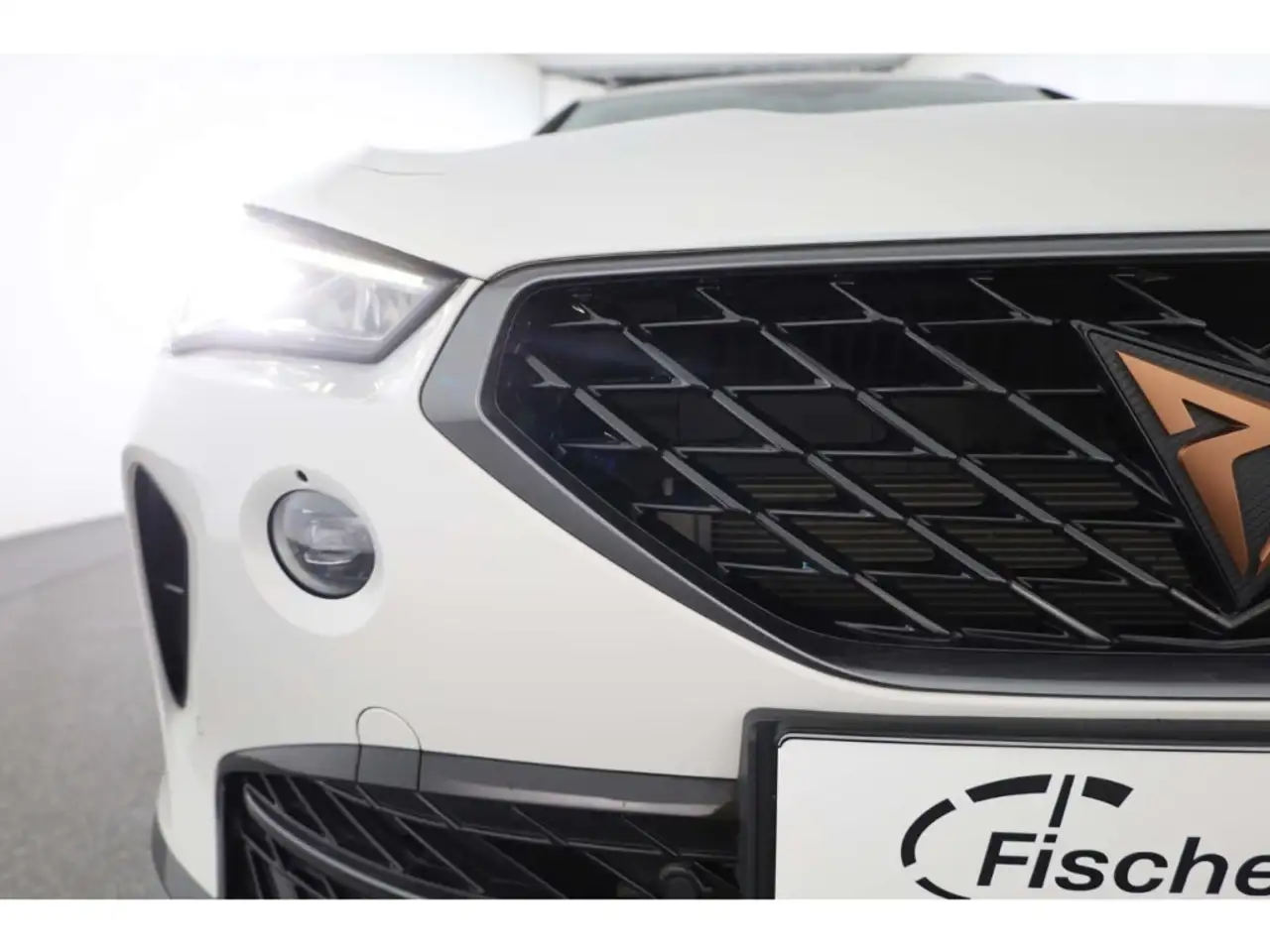 CUPRA Formentor 1.4 e-Hybrid DSG LED/ACC/CarPlay/SH — Vehicle gallery 21