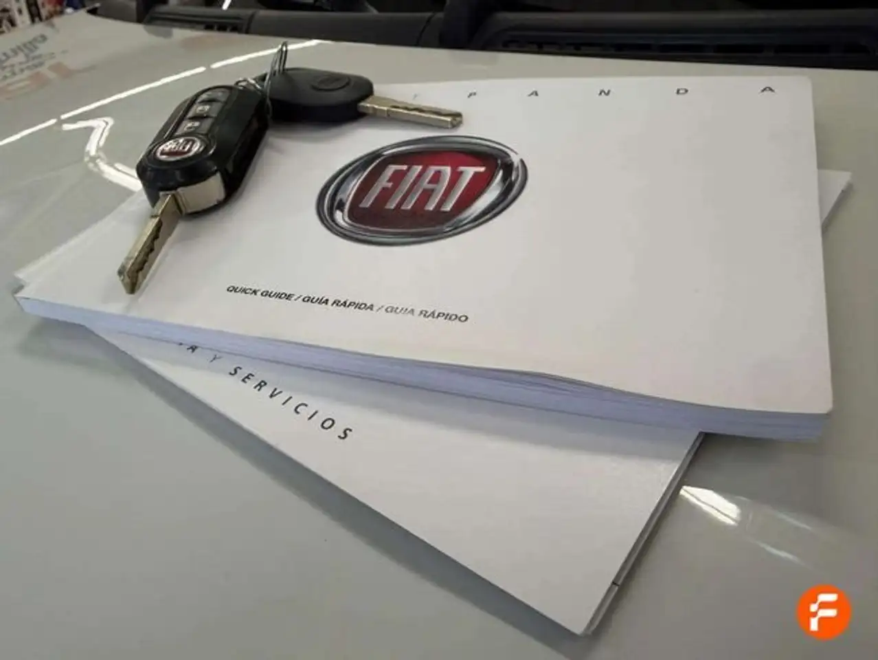 Fiat Panda Hybrid 1.0 GSE Van — Galerie du véhicule 19