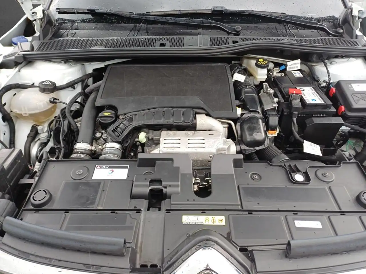 Citroen C4 PureTech 130 S&S Feel Pack — Galería del vehículo 5