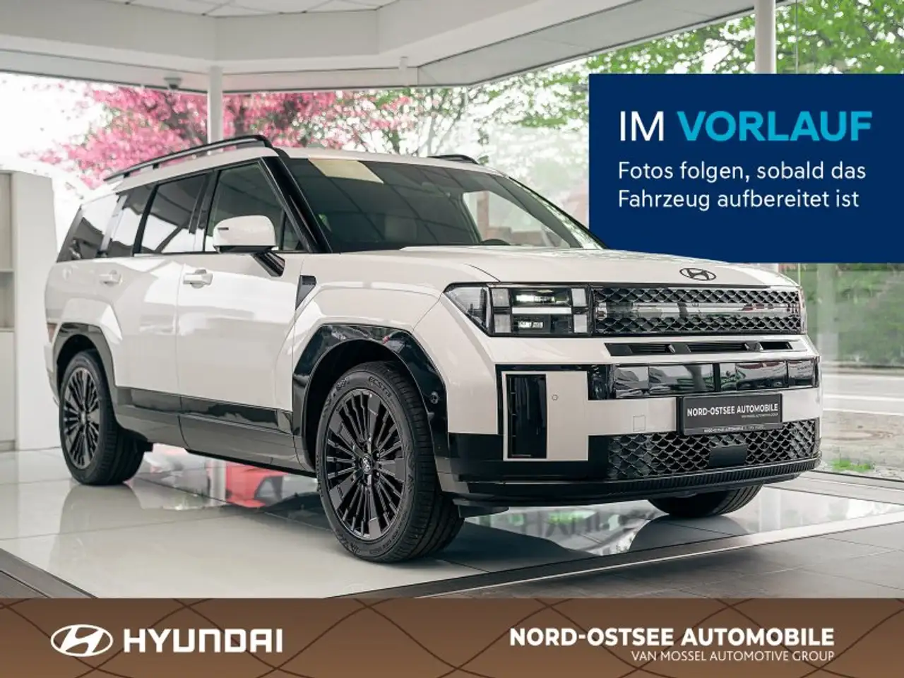 Hyundai TUCSON 1.6 T-GDI N LINE 4WD SHZ LHZ KAMERA KRELL — Schwarzenbek
