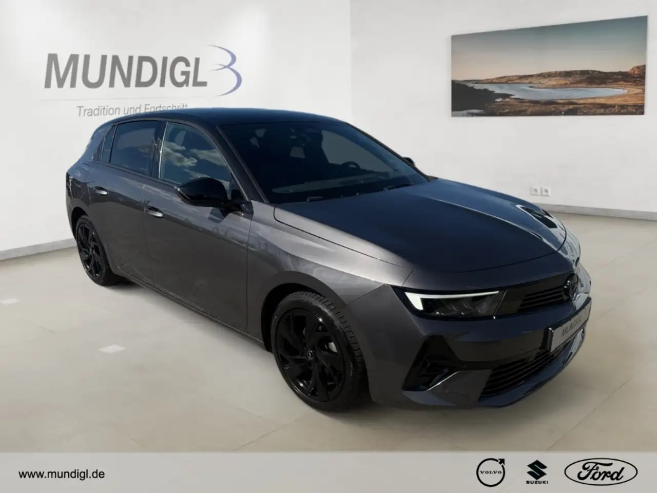 Opel Astra L GS ACC Navi Autom. RFK 360° AHK SHZ LRH FSH Appl — Vehicle gallery 6