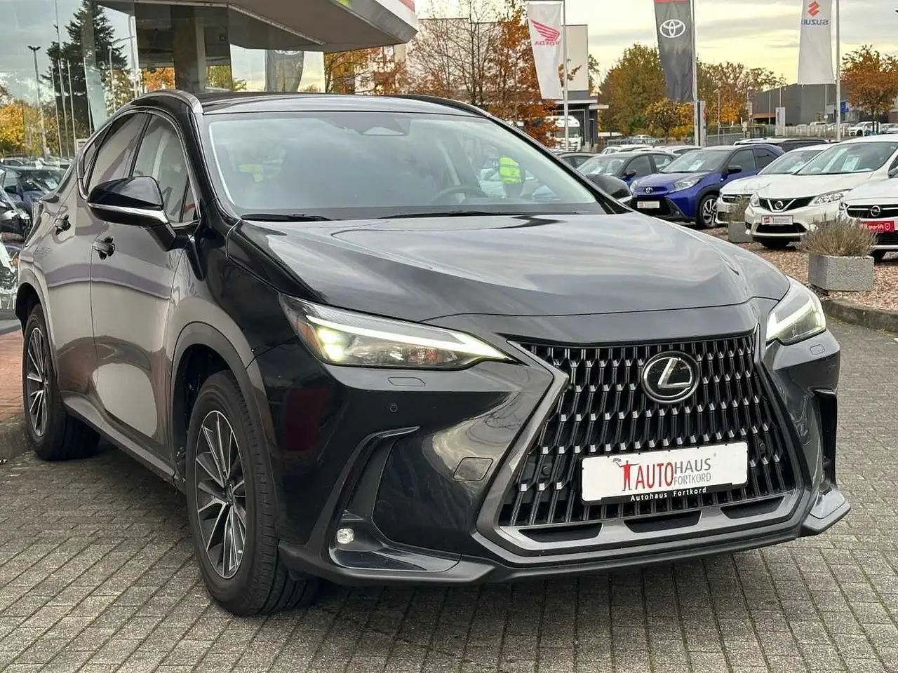Lexus NX 350h Excecutive - Pano, Navi, PDC, Leder, SH, SB — Vehicle gallery 5
