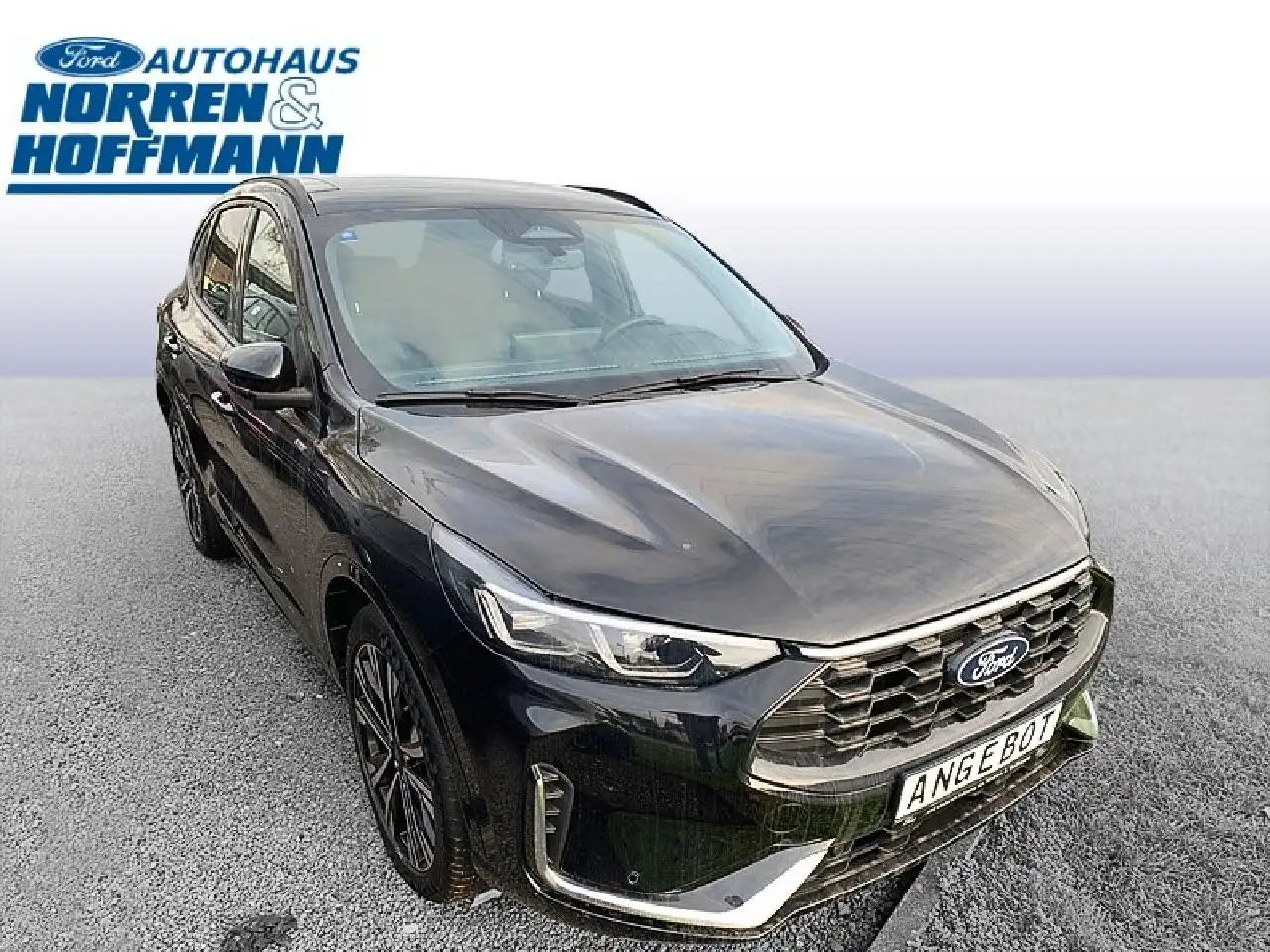 Ford Kuga Plug-In Hybrid ST-Line X — Galería del vehículo 3