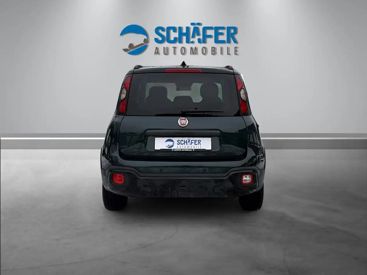 Fiat Panda Pandina Cross 1.0 #VIRT #DAB #PDC #CARPLAY — Vehicle gallery 6