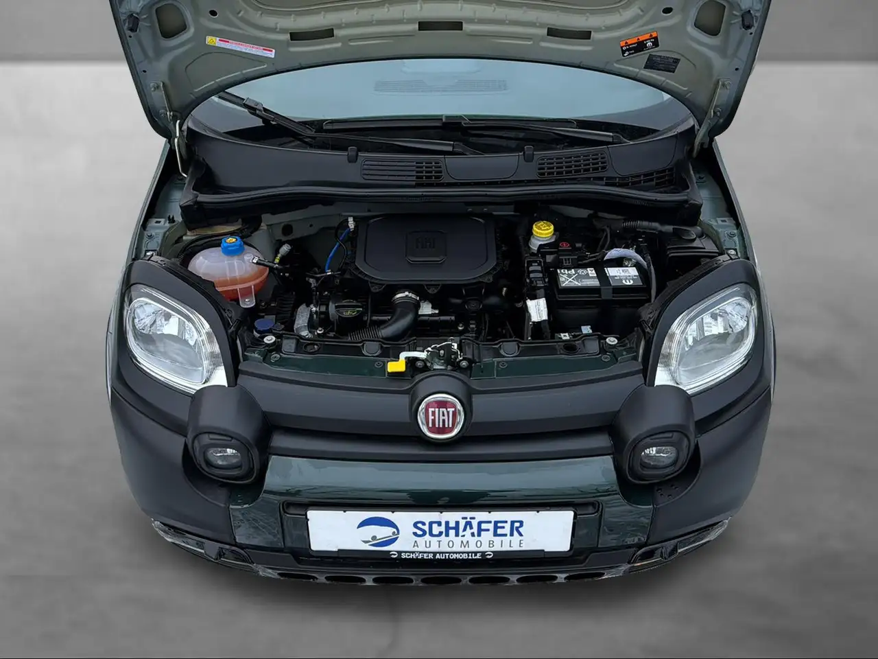 Fiat Panda Pandina Cross 1.0 #VIRT #DAB #PDC #CARPLAY — Vehicle gallery 17