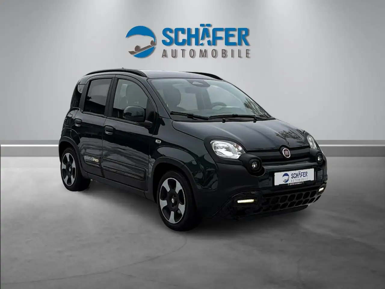 Fiat Panda Pandina Cross 1.0 #VIRT #DAB #PDC #CARPLAY — Vehicle gallery 2