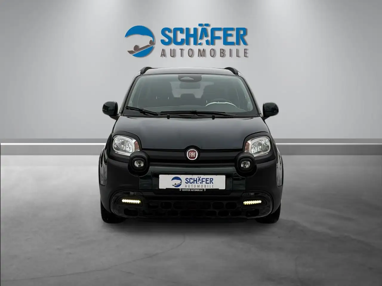 Fiat Panda Pandina Cross 1.0 #VIRT #DAB #PDC #CARPLAY — Vehicle gallery 5