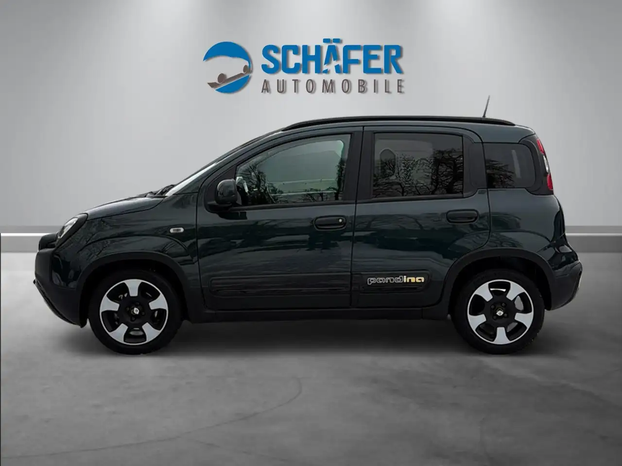 Fiat Panda Pandina Cross 1.0 #VIRT #DAB #PDC #CARPLAY — Vehicle gallery 8