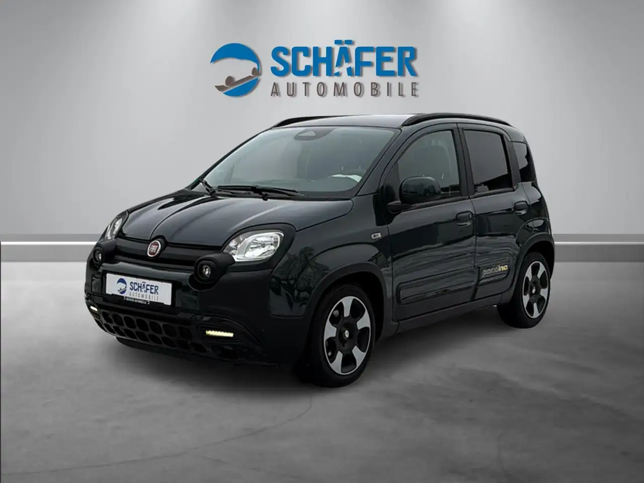 Fiat Panda Pandina Cross 1.0 #VIRT #DAB #PDC #CARPLAY — Moritzburg