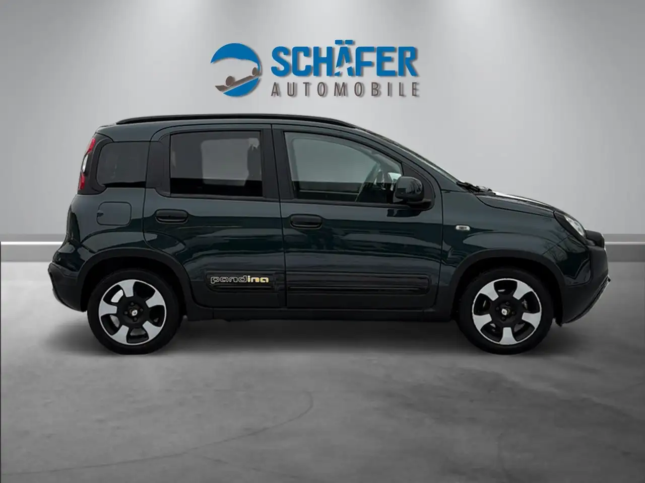 Fiat Panda Pandina Cross 1.0 #VIRT #DAB #PDC #CARPLAY — Vehicle gallery 7