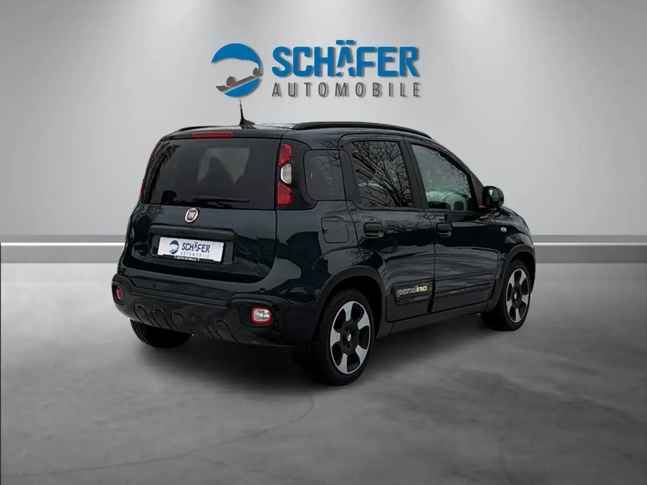 Fiat Panda Pandina Cross 1.0 #VIRT #DAB #PDC #CARPLAY — Vehicle gallery 3