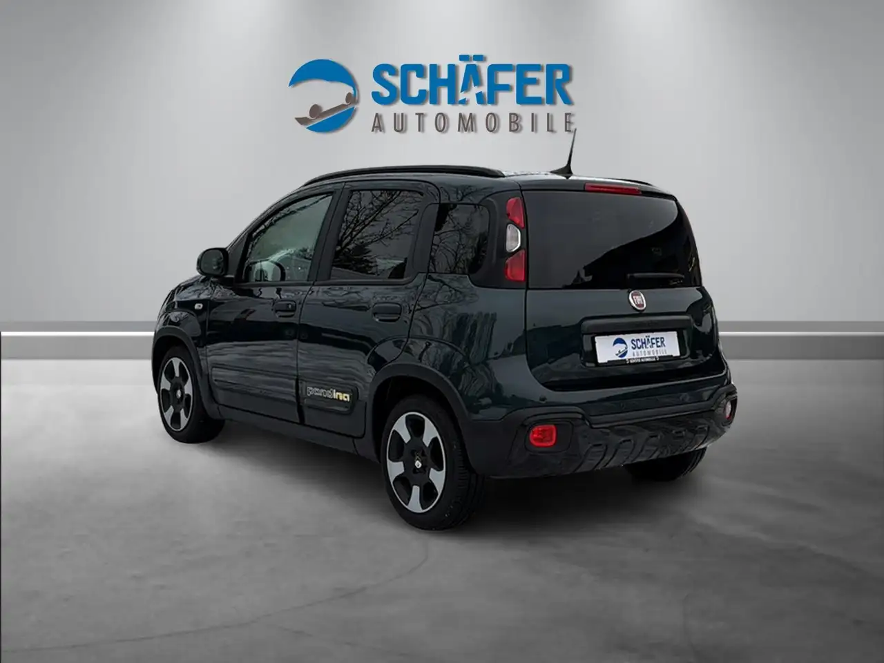Fiat Panda Pandina Cross 1.0 #VIRT #DAB #PDC #CARPLAY — Vehicle gallery 4