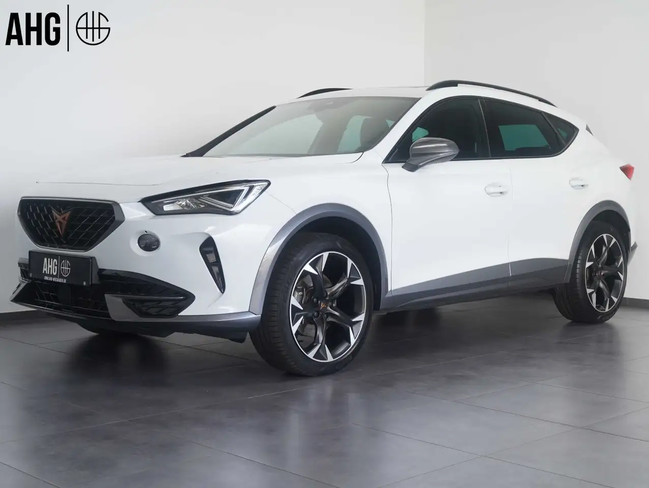 CUPRA Formentor 1.5 TSI DSG LED/CARPLAY/KAMERA/PANO — Wiesbaden