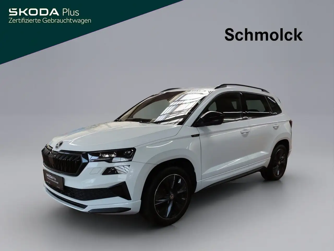 Skoda Karoq Sportline 2.0 TSI DSG 4x4 LED NAVI ACC PDC — Emmendingen
