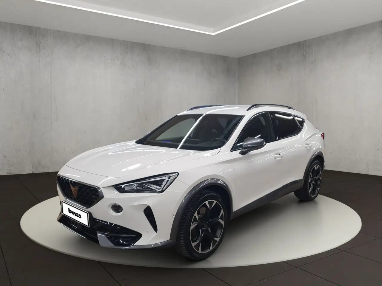 CUPRA Formentor VZ 2.0 TSI 4Drive OPF — Aschaffenburg