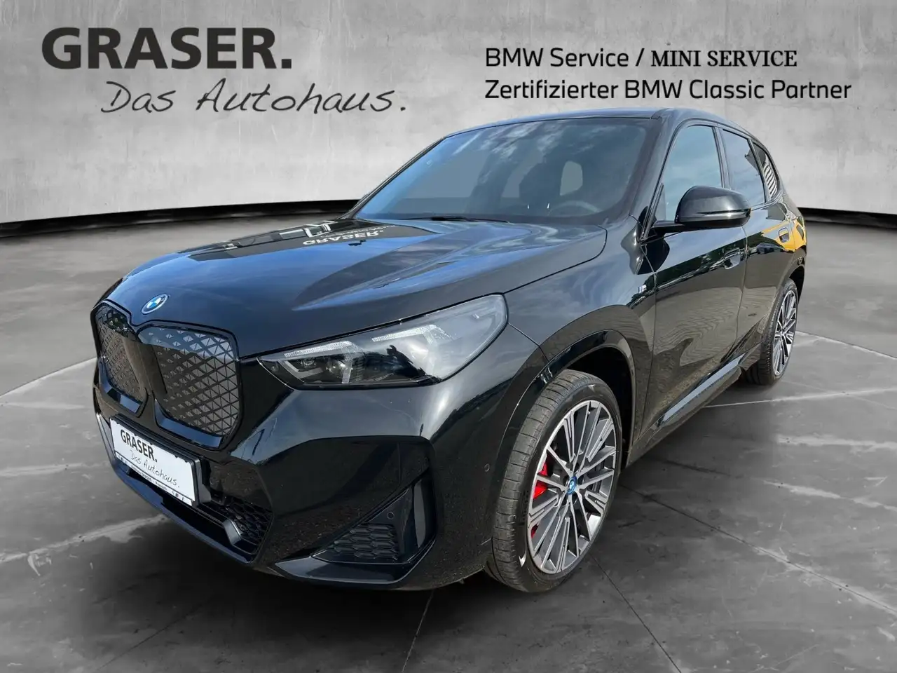 BMW iX1 xDrive30 M-Sport Pro AHK RFK Navi Shz LED — Pressath